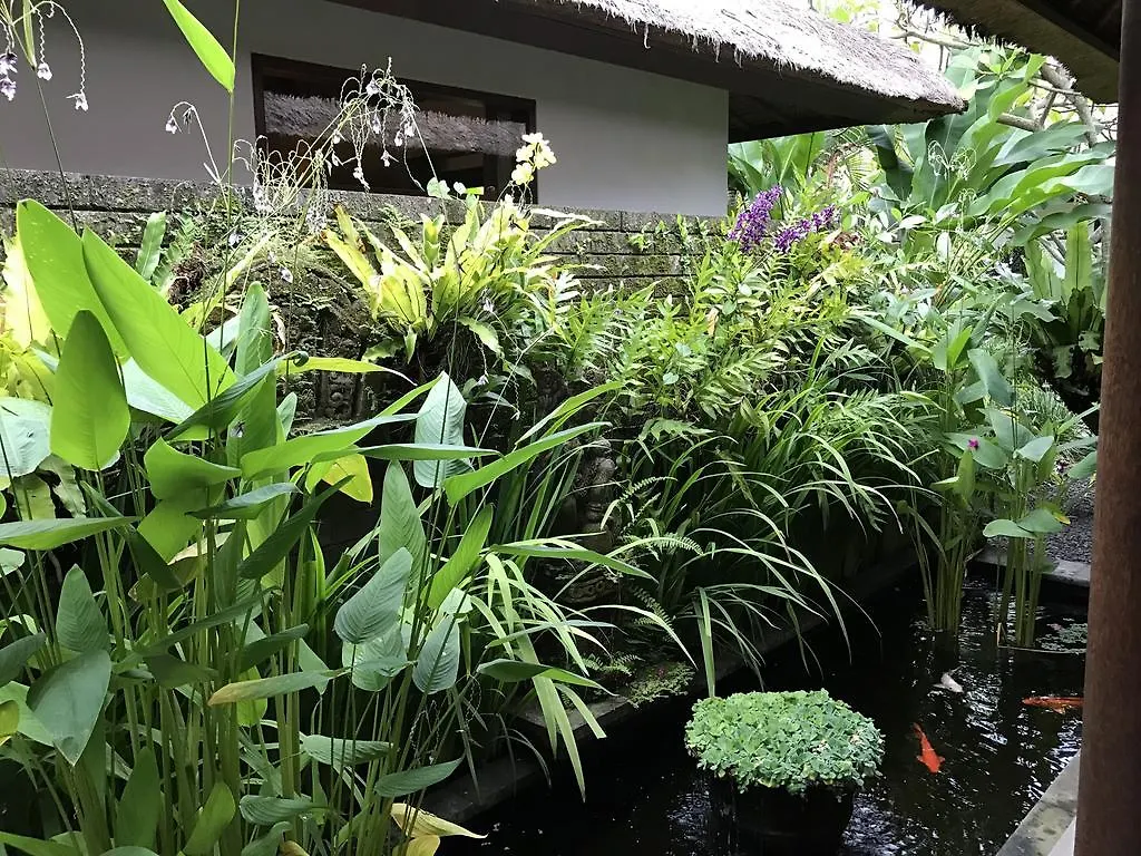 Bali Villa Aja Seminyak  0*, Seminyak (Bali)
